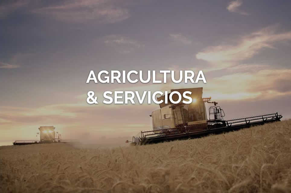 agricultura y servicios